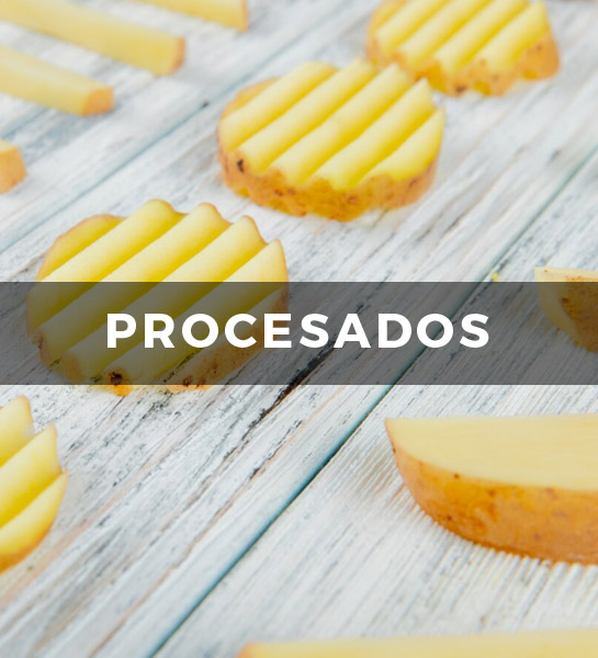 PROCESADOS