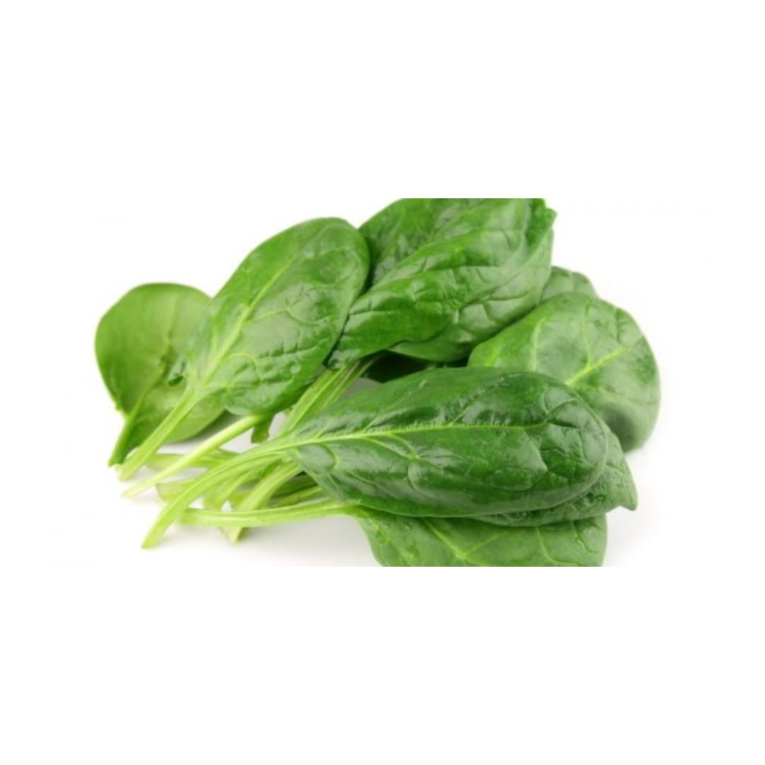 ESPINACA