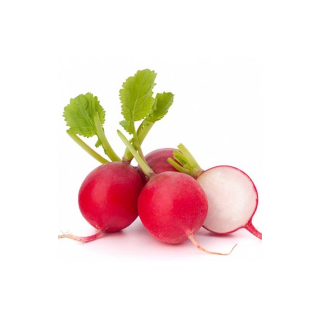 RABANITOS
