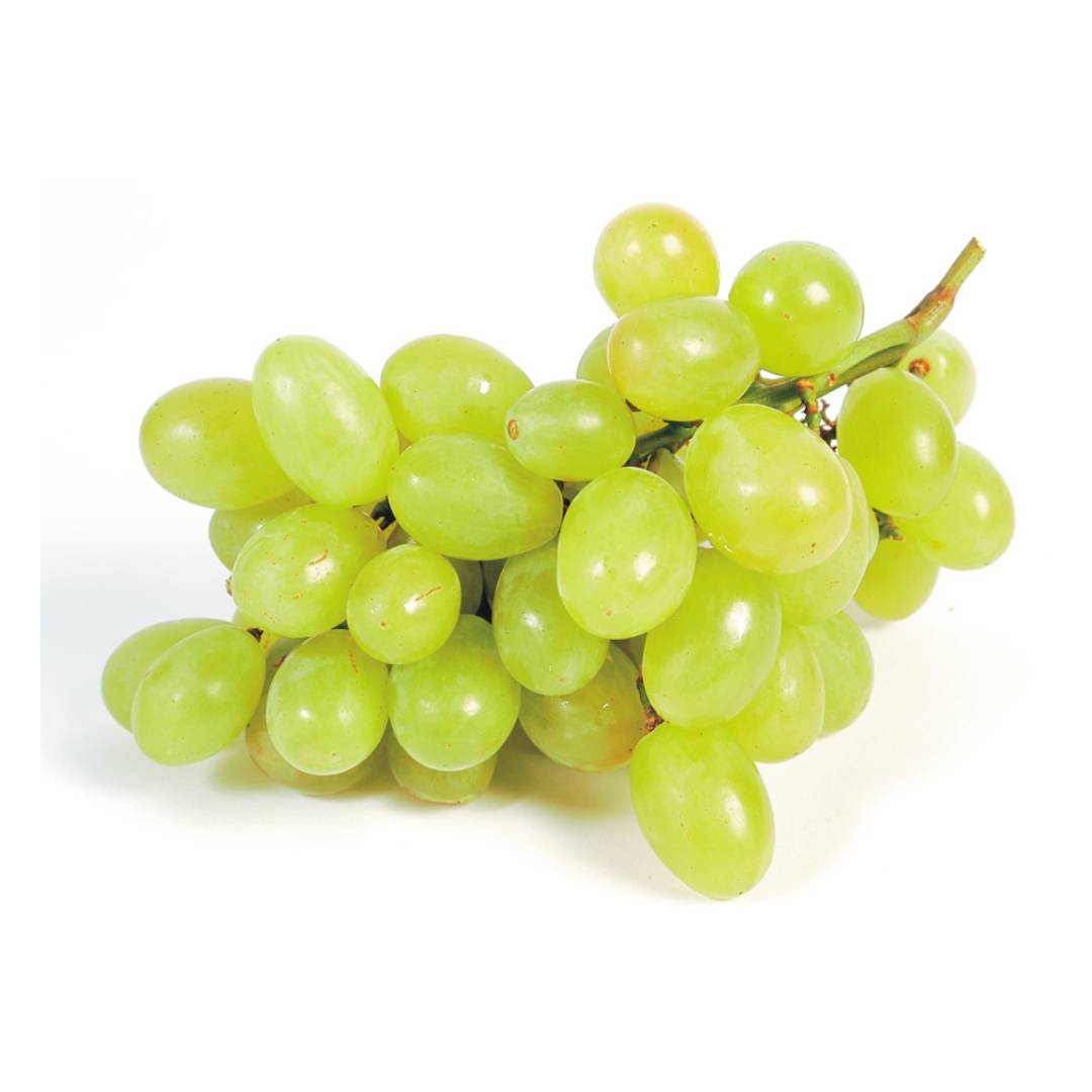 UVA  BLANCA