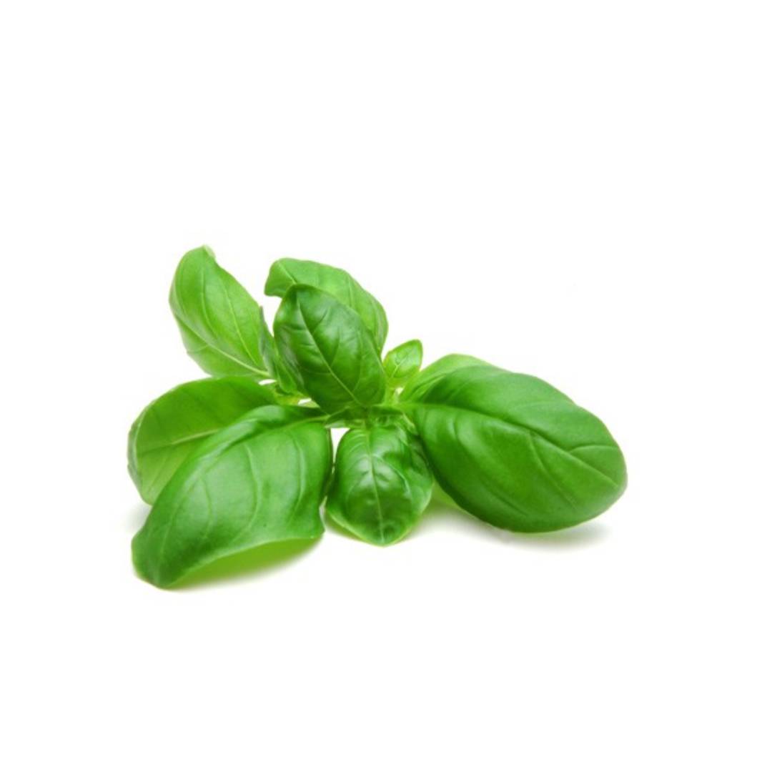 ALBAHACA