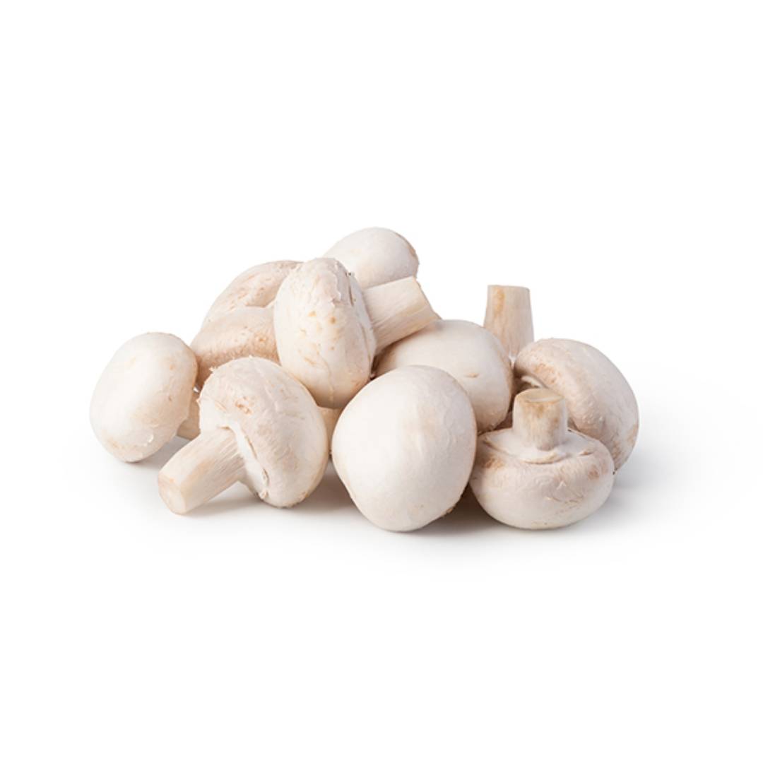 CHAMPIGNON