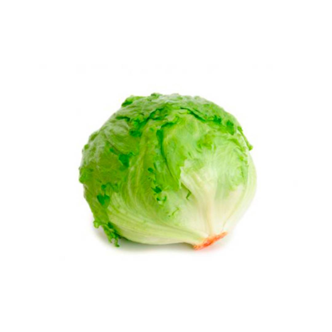 LECHUGA CAPUCCHINA 