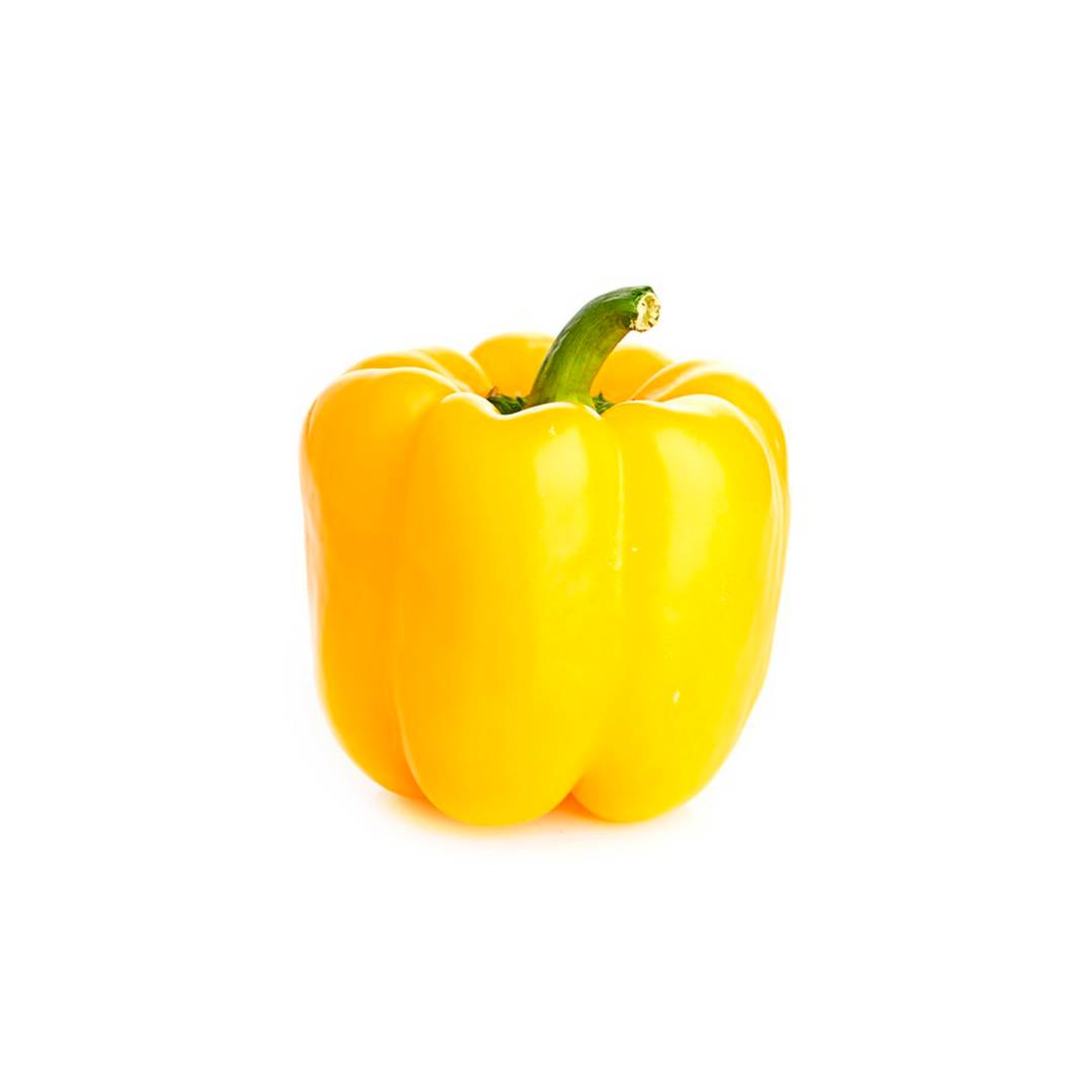 MORRÓN AMARILLO